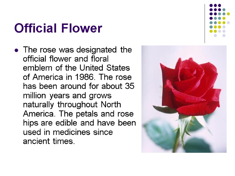 Official Flower The rose was designated the official flower and floral emblem of the